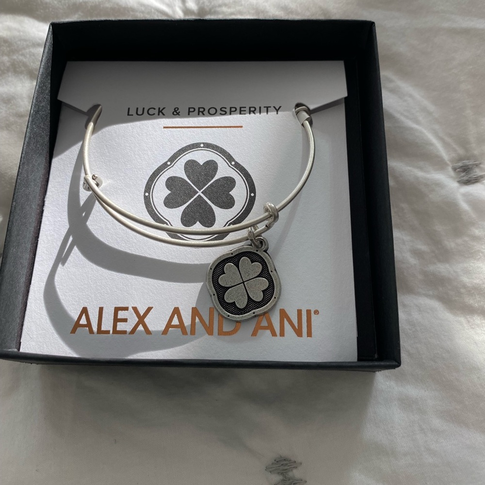 NWT Alex and Ani luck and prosperity bracelet